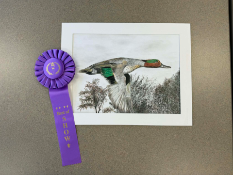 2026 JDS KY Best in Show