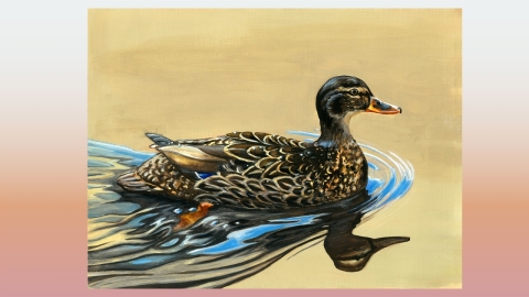 A detailed painting shows a brown‑patterned duck floating on calm water with ripples and a tan background.