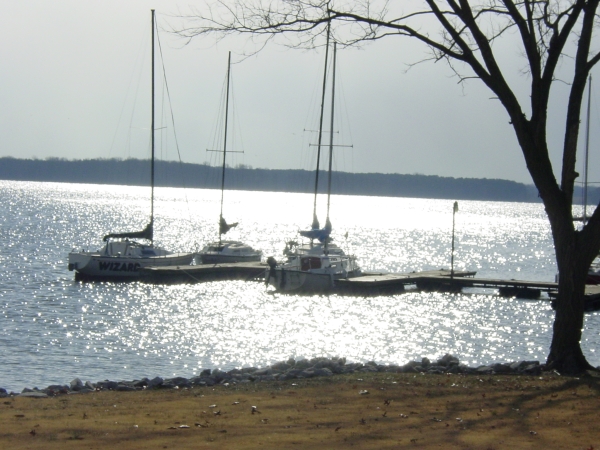 three sailboats docked on a lake with the sun shining off the lake. A tree frames the right hand side of the picture. 