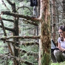 Woman sitting on the forest floor with a laptop computer connected to a device hanging on a tree