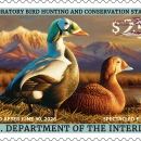 2025-2026 Federal Duck Stamp featuring a pair of spectacled eiders on the ground in grassy area.