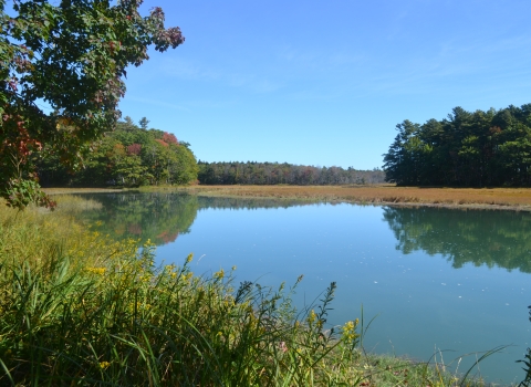 Little River at Rachel Carson National Wildlife Refuge