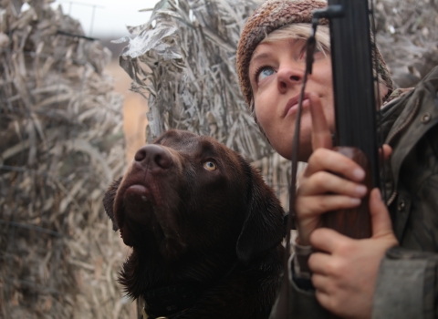 Close up of a chocolate lab and hunter both looking up while in a waterfowl hunting blind.