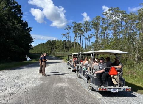 Two people in blue t-shirts stand next to two long golf-cart style trams. The trams are pulled off on the side of a gravel road through a pine forest.