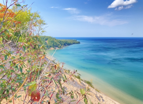 View from a sandy bluff overlooking a turquoise-blue lake, with clear water fading to deep blue toward the horizon. Green forested shoreline curves into the distance under a bright blue sky with a few wispy clouds, while leafy shrubs and branches frame the foreground.