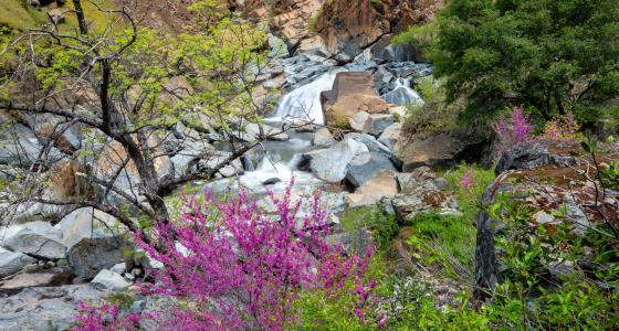 Merced River, California