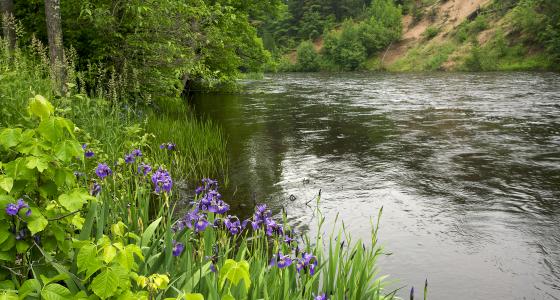 Namekagon River, Wisconsin
