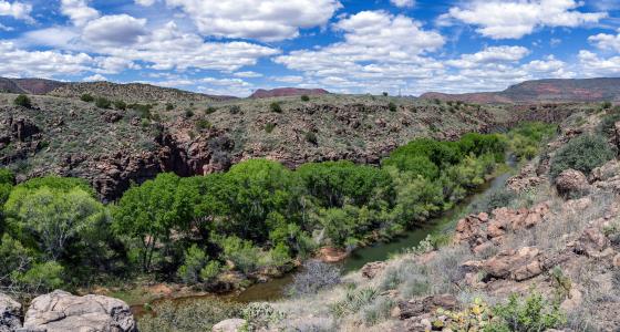 Verde River, Arizona