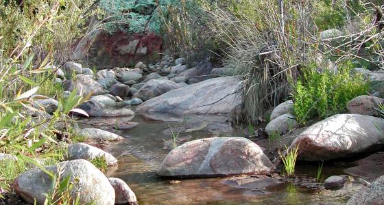 Bautista Creek, California