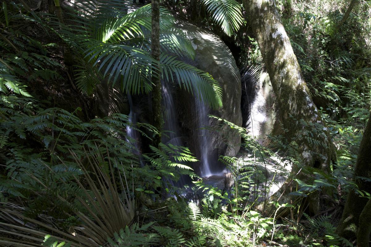 Rio Icacos, Puerto Rico