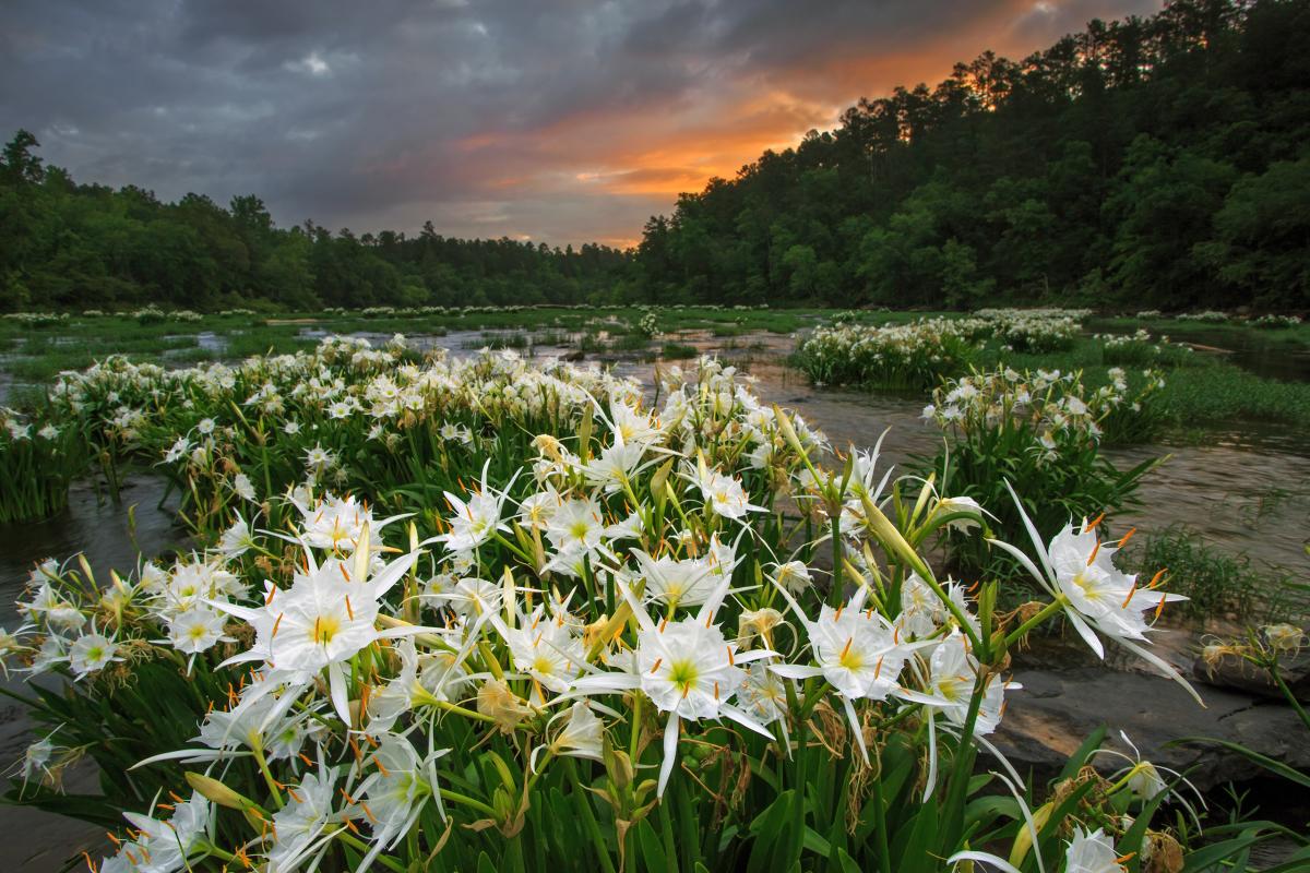 Cahaba River, Alabama