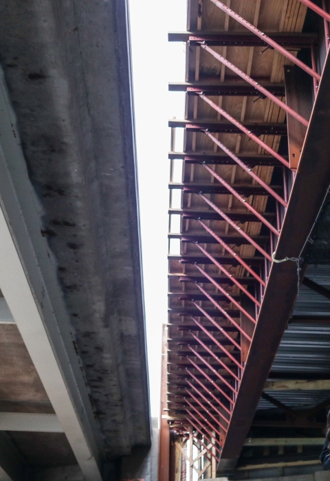 A biologist stands beneath two bridges - one complete and one under construction