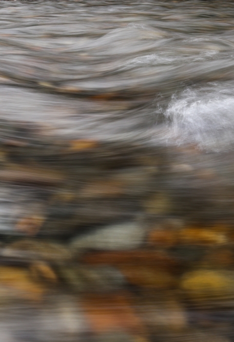 Clear river water flows over a rock-covered stream bottom