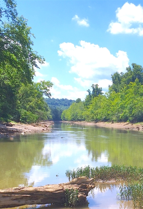 Photo of river with blue sky above, and tree-lined river banks.