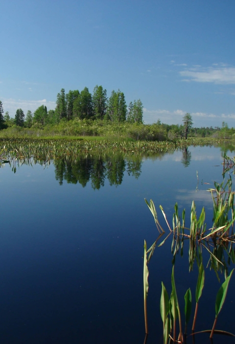 Silky smooth deep blue water surrounded by green trees and vegetation. The trees and vegetation are reflected on the water.