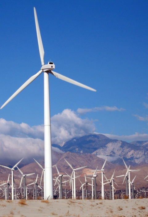 Wind farm in sand dunes with mountain range in background.