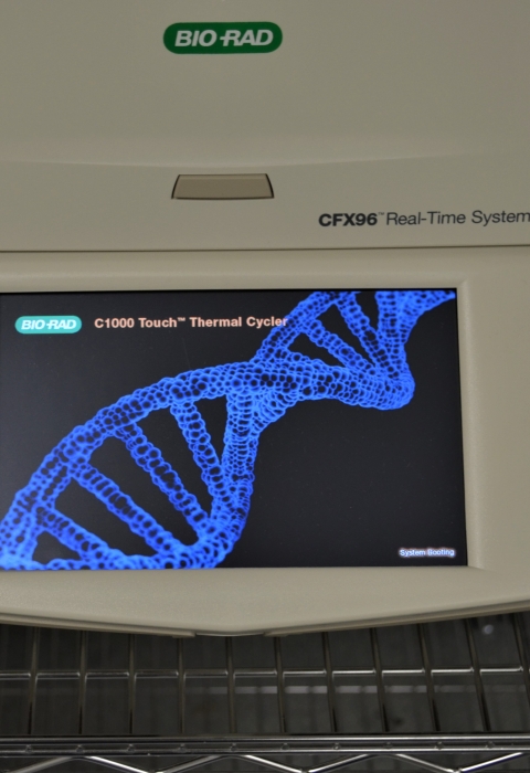 PCR machine with DNA strand on it.