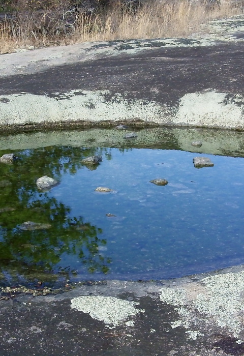 shallow pool of water on a smooth rocky landscape