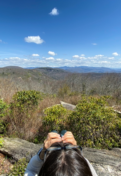 Person holding binoculars looking into the distance