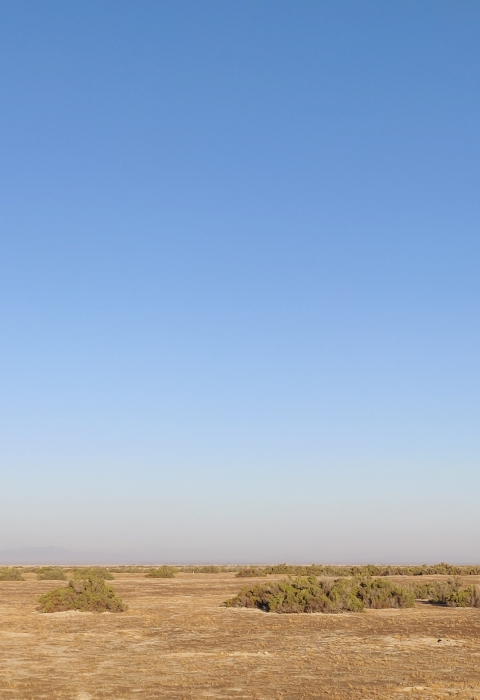 The moon over Kern National Wildlife Refuge where few shrubs grow on flat, sandy soil