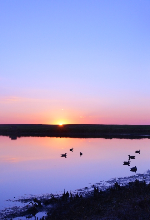 person waterfowl hunting by a wetland at sunrise