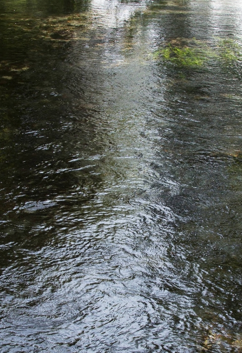 A shallow spring flows between grassy river edges.