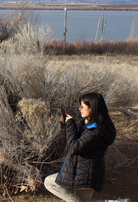 Two people use their phones to take photos of a plant