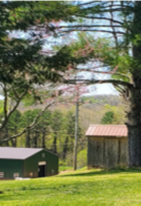Dale Hollow Hatchery