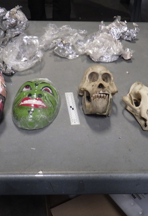 A green ceramic mask of a human face sits beside three animal skulls on a metal table next to an opened package