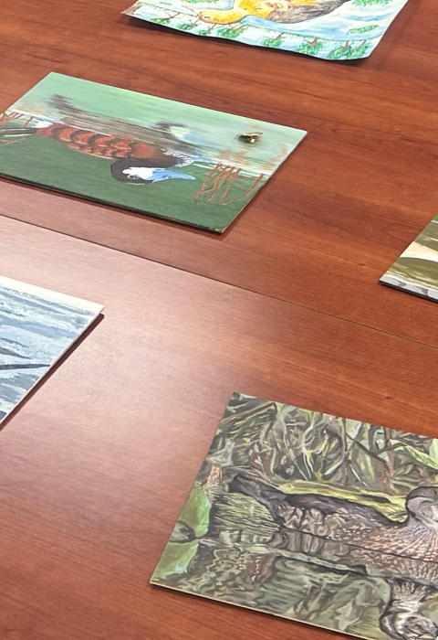 Artwork from the 2026 Alaska Junior Duck Stamp Contest
