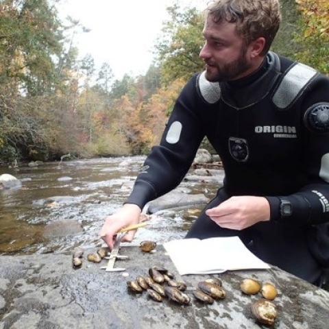 Matt Johnson sampling freshwater mussels in Tennessee.