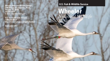 An image of the cover for the refuge brochure.