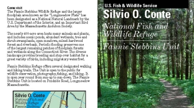 Image of Fannie Stebbins Rack Card