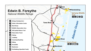 A map of the public uses and amenities available to visitors across Edwin B. Forsythe National Wildlife Refuge