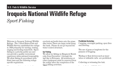 Image of the front page of the Sport Fishing Fact Sheet with text and graphics