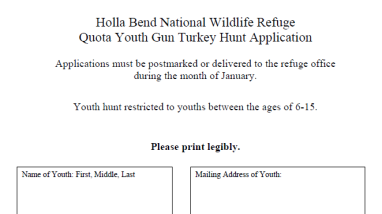 Thumbnail of the application form.