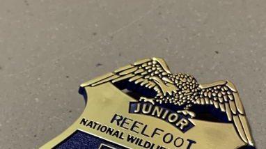 Jr. Ranger badge