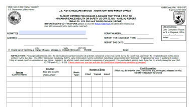 Screen capture of first page of Form 3-202-11
