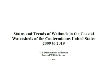 Status and Trends of Coastal Wetlands Watershed Report Cover