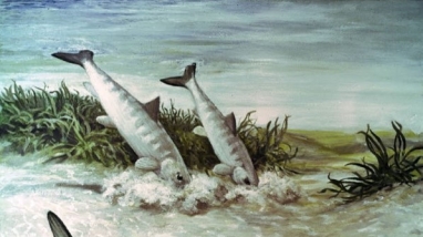 Bob Hines Illustration of Bonefish on Florida Flats, Color, for Sport Fishing USA, 1971