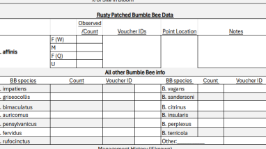 Reporting form picture