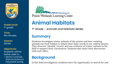1st Grade Winter Animal Habitats