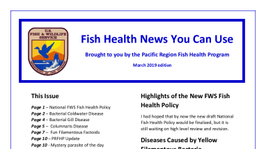 Fish Health News You Can Use (March 2019 Edition)