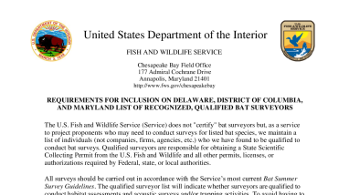 Criteria for Qualified Bat Surveyors for Delaware, District of Columbia, and Maryland