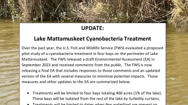 Update on Lake Mattamuskeet Cyanobacteria Treatment
