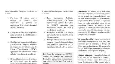 EIS-Pamphlet-Spanish-May-2024