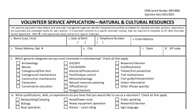 Blank Volunteer Service Application Form