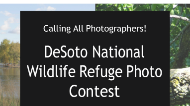 DeSoto Photo Contest Flyer 2024