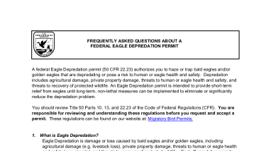 3-200-16 FAQ - Eagle Depredation