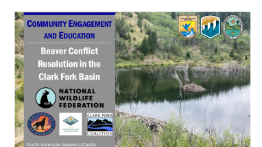 Beaver Conflict Handout